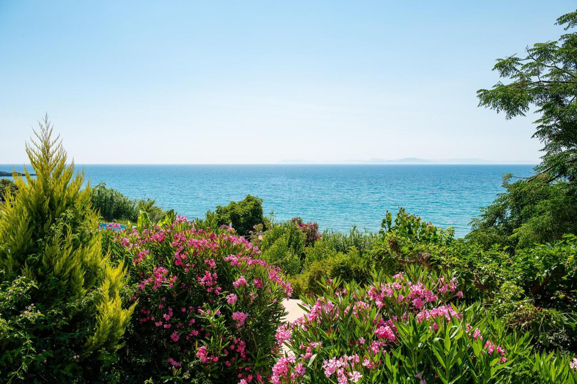 Mare Dei Suites Hotel Ionian Resort Skafidia Exteriér fotografie